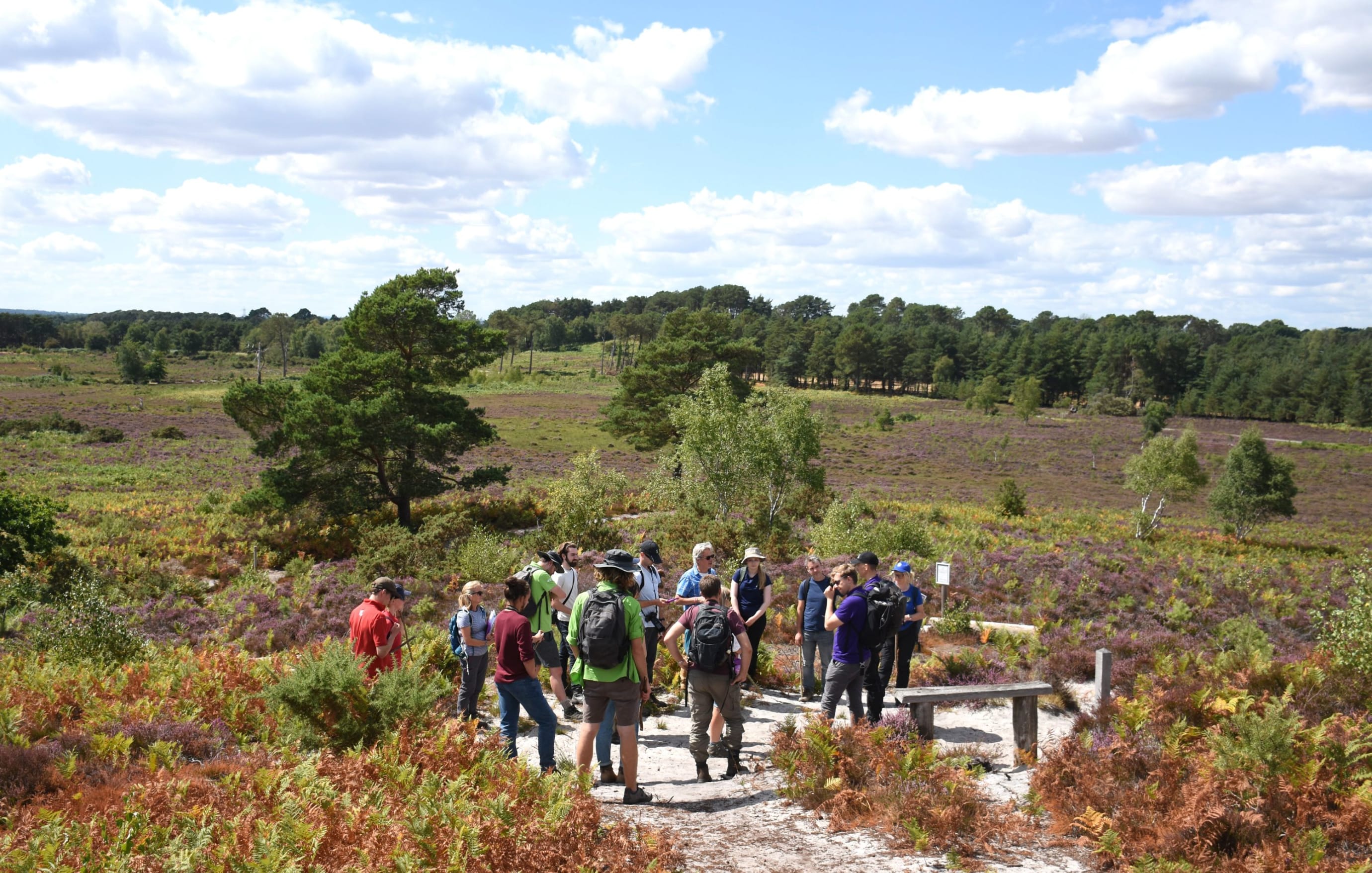 Snakes in the Heather (SitH) Reptile Survey Training Event - Avon heath Country Park 2022