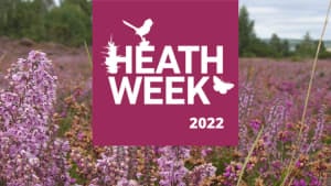Not long until Heath Week 2022!