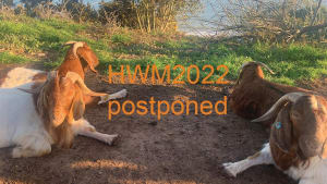 HWM 2022 part two now postponed