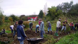 Gardening with nature for people and wildlife