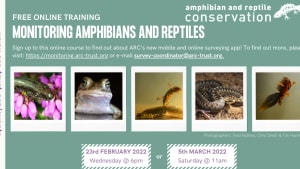 Monitoring amphibians and reptiles - Wed evening
