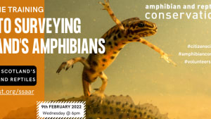 Introduction to surveying Scotland's amphibians