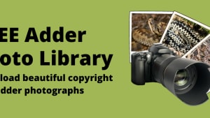 About ARC's free adder photo library